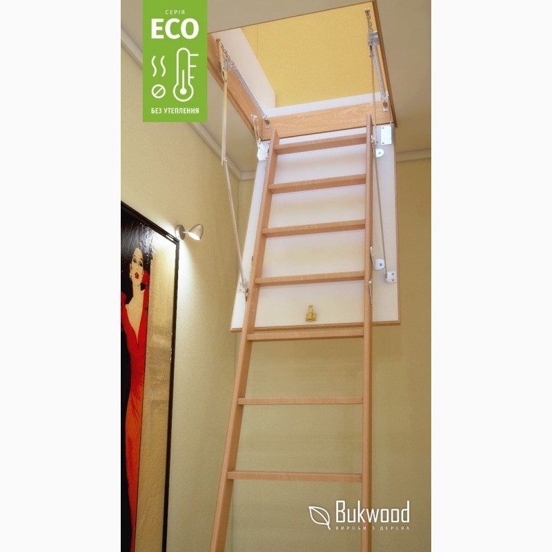 Фото 3. Чердачная лестница Bukwood ECO Standard