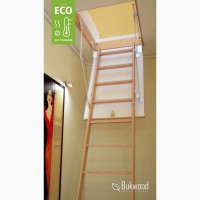 Чердачная лестница Bukwood ECO Standard