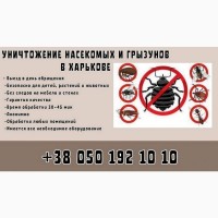 Услуги по уничтожению грызунов и насекомых в Харькове