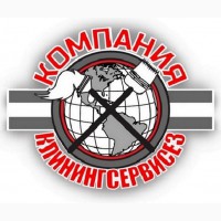 Уборка двухкомнатной квартиры КлинингСервисез, Софиевская Борщаговка