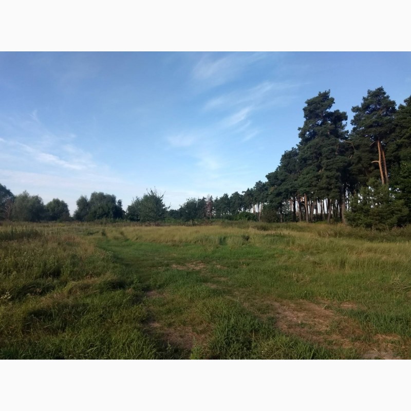 Фото 2. Земельный участок для строительства площадью 0, 5000 га в с. Дерновка