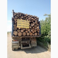 Колотые дрова с доставкой по Одессе и области