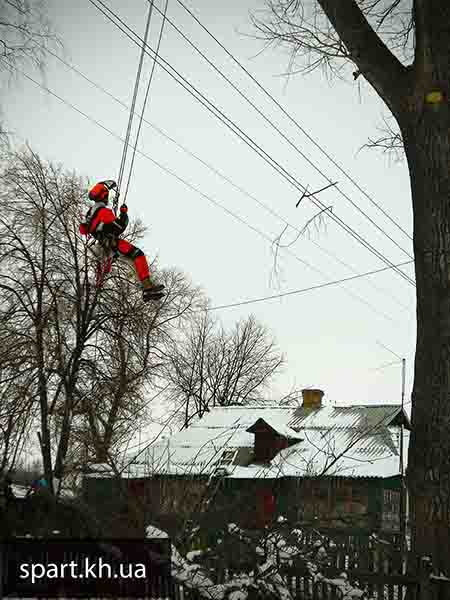 Спил аварийных деревьев в Харькове
