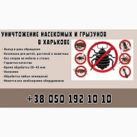 Уничтожение тараканов в квартире Харьков
