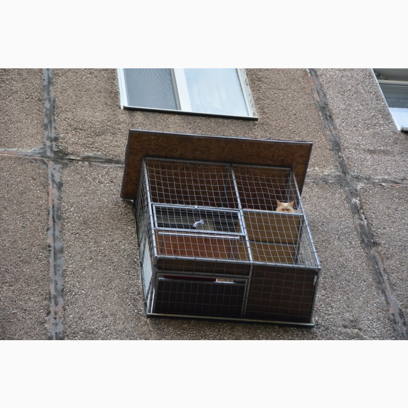 Фото 2. Вольер для кота на окно. Броневик Днепр