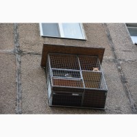 Вольер для кота на окно. Броневик Днепр
