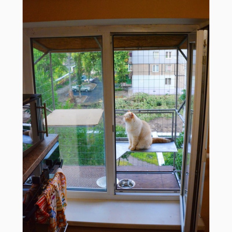 Фото 5. Вольер для кота на окно. Броневик Днепр