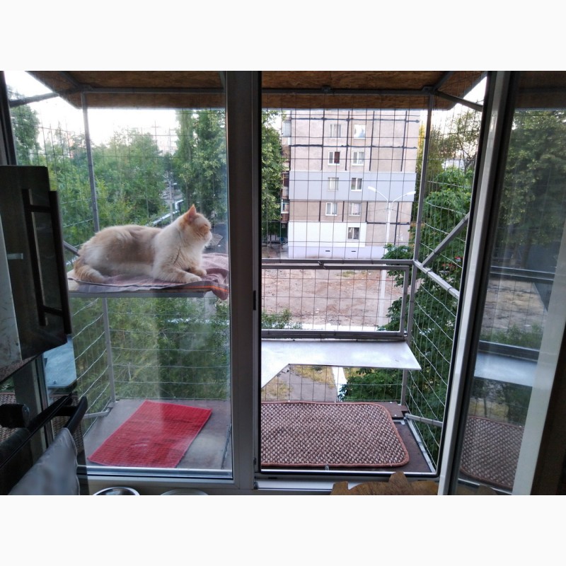 Фото 7. Вольер для кота на окно. Броневик Днепр