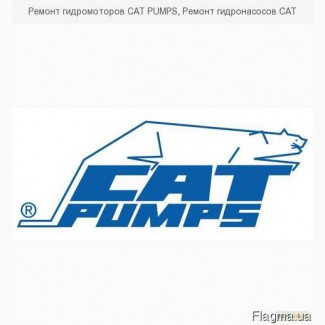Ремонт гидромоторов CAT PUMPS, Ремонт гидронасосов CAT