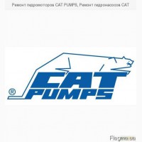 Ремонт гидромоторов CAT PUMPS, Ремонт гидронасосов CAT