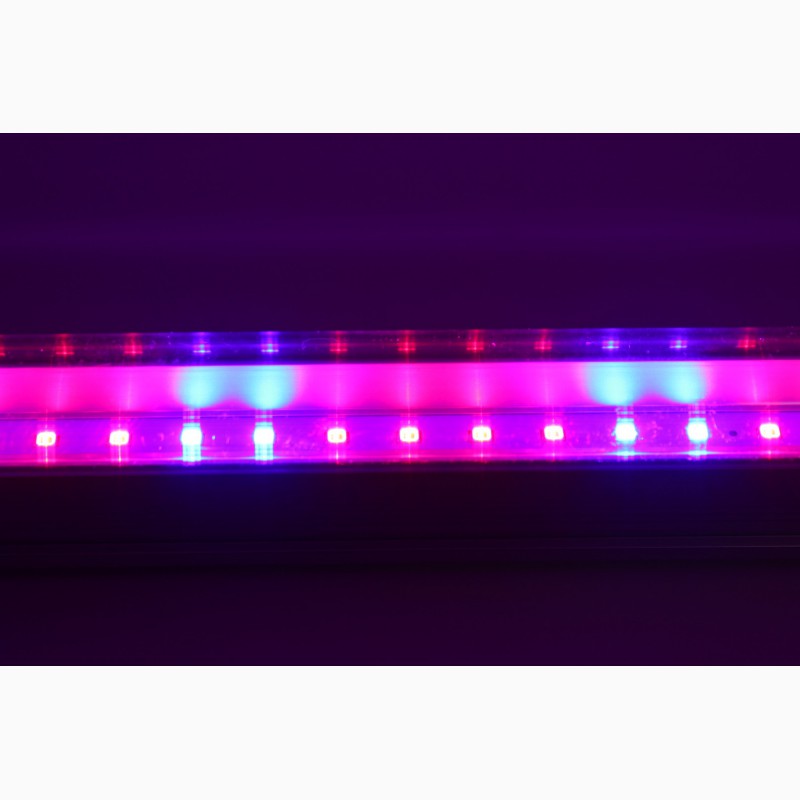 Фото 3. Светодиодный светильник T8-2835-0.6FS R:B=4:2 8W ( 4 красных 2 синих ФИТО свет )