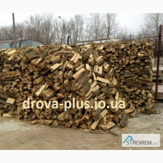 Замовити дрова колоті Торчин, Луцьк тверда порода (дуб, граб, ясен) з доставкою