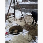 Копання, чистка, поглиблення криниць, колодязів, каналізацій Чорнобай Черкаська область