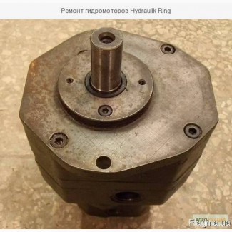 Ремонт гидромоторов Hydraulik Ring