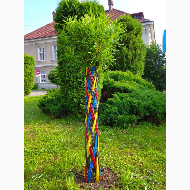 Фото 4. Плетене дерево Вишиванка