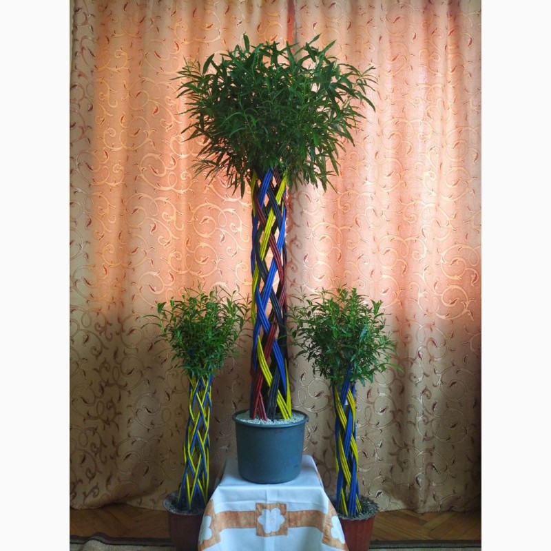 Фото 8. Декоративне кольорове плетене дерево Вишиванка