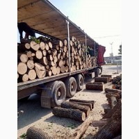 Продажа дров и угля с доставкой