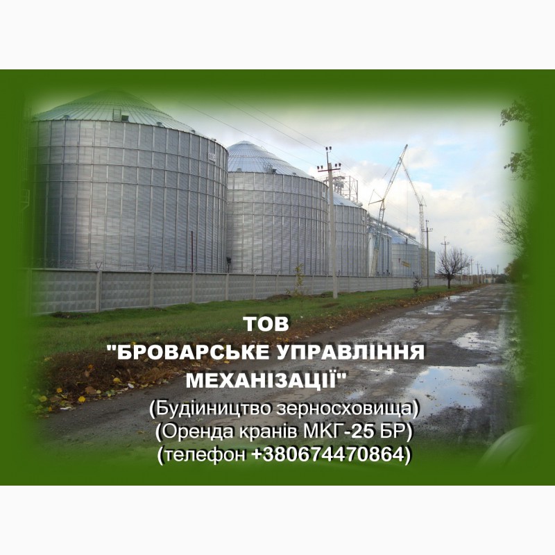 Фото 3. Аренда гусеничного крана Киев МКГ-25БР по Украине