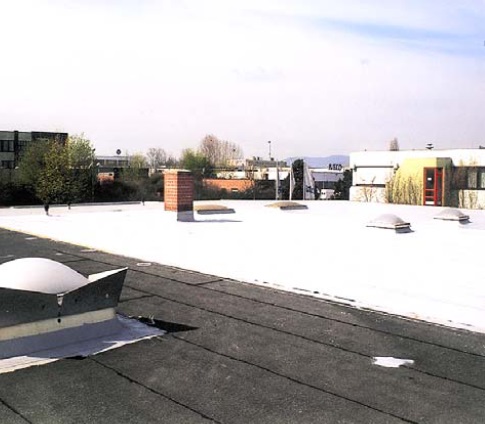 Фото 2. Крыши – ремонт и гидроизоляция Seel-Partner (Гeрмания)