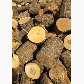 Метрові дрова з доставкою | Купуйте дрова за низькими цінами Ківерці