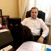 Адвокат в Києві. Адвокат по кредитних справах