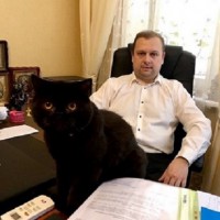 Адвокат по ДТП. Послуги адвоката Київ