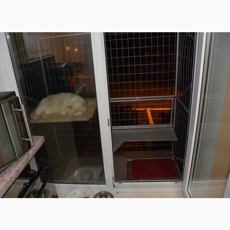Фото 12. Клетка на окно для кота. Броневик Днепр