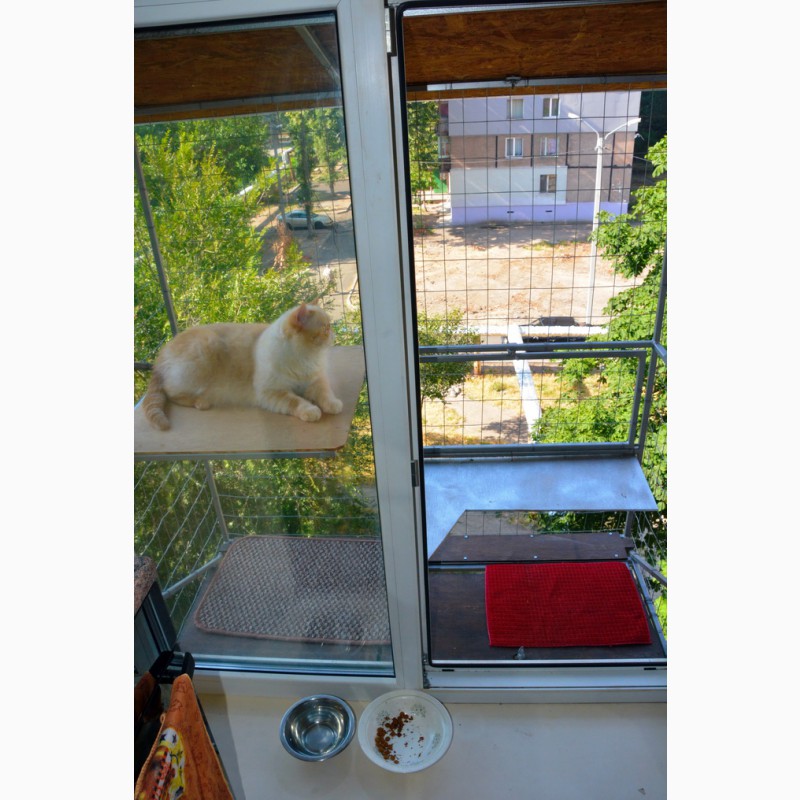 Фото 2. Клетка на окно для кота. Броневик Днепр