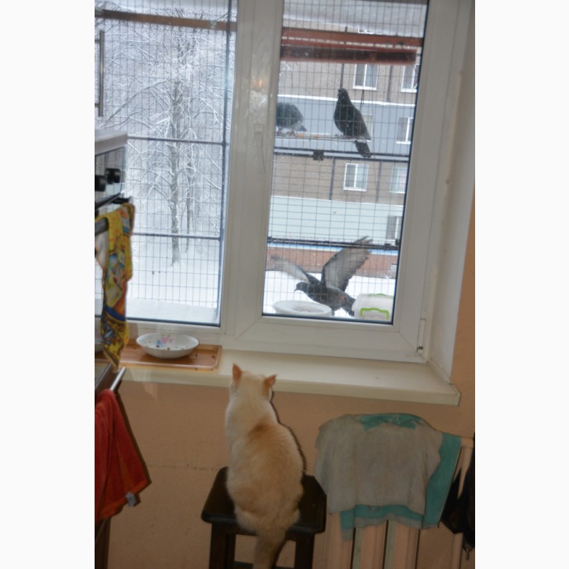 Фото 3. Клетка на окно для кота. Броневик Днепр