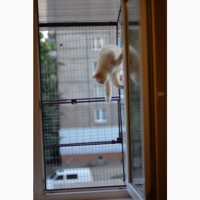 Фото 4. Клетка на окно для кота. Броневик Днепр