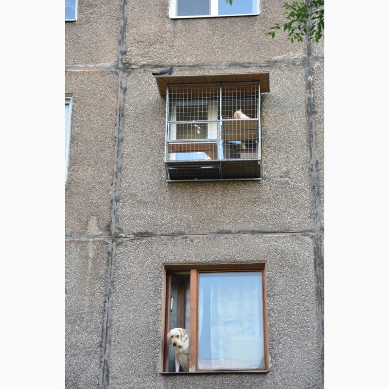 Фото 5. Клетка на окно для кота. Броневик Днепр