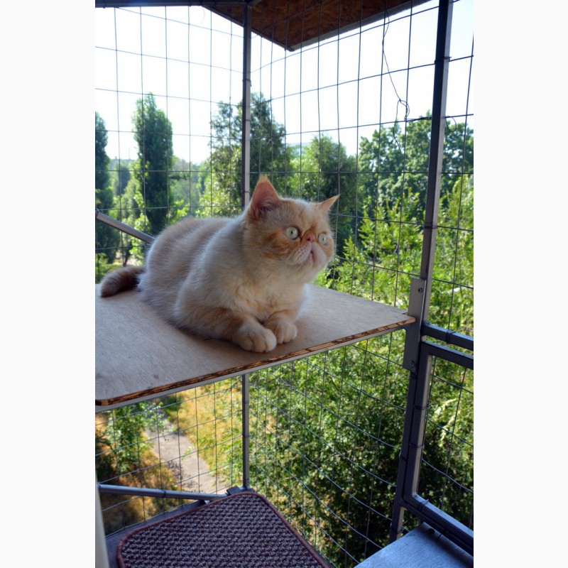 Фото 8. Клетка на окно для кота. Броневик Днепр