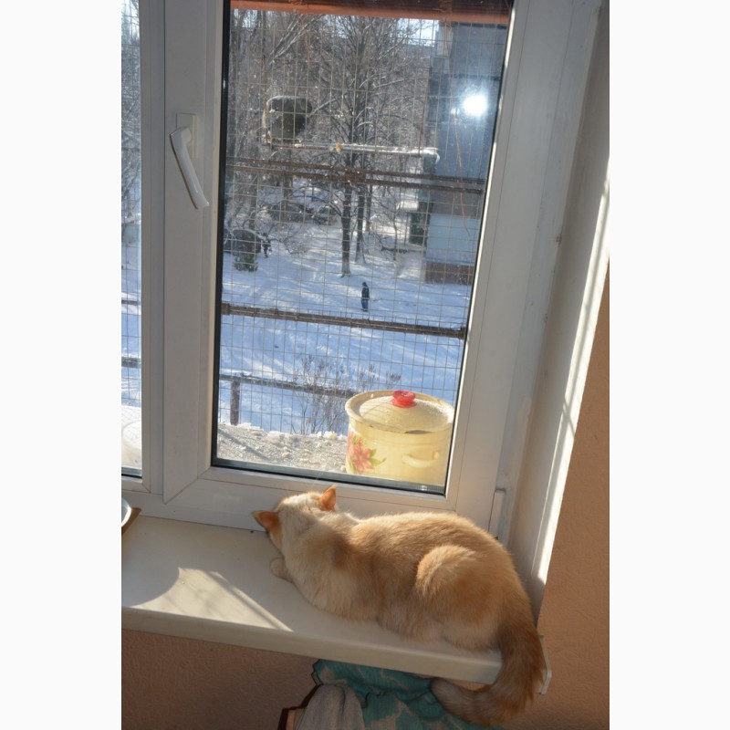Фото 9. Клетка на окно для кота. Броневик Днепр