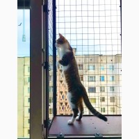 Вольер для кошек на окно. Броневик Днепр