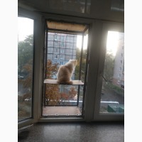 Вольер для кошек на окно. Броневик Днепр