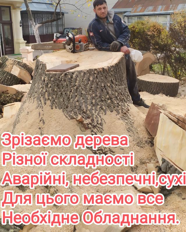 Фото 3. Спил дерев, валка, рубка, обрізка гілок у Чернівцях та області