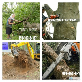 Спилить дерево, удаление дерева Киев, киевская область