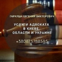 Консультация адвоката. Адвокат в Киеве